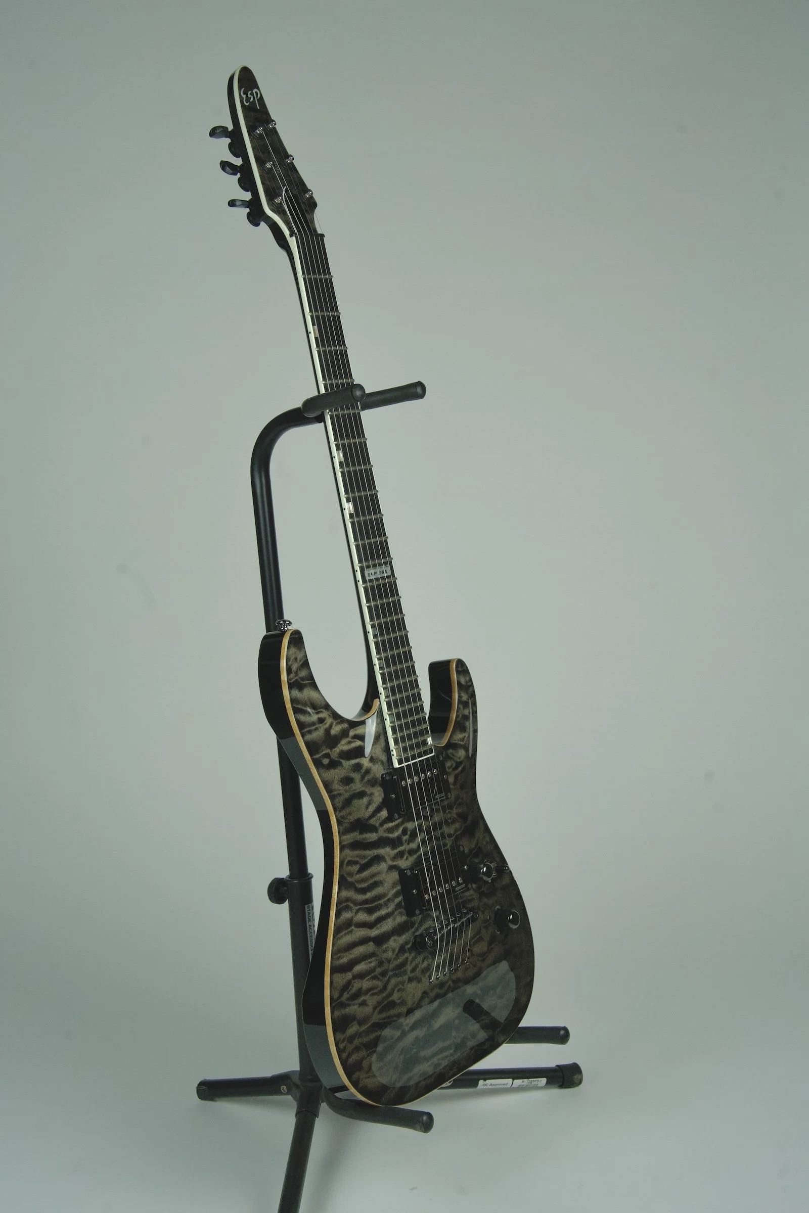 Wylde Audio Warhammer FR Norse Dragon Electric Guitar — David's